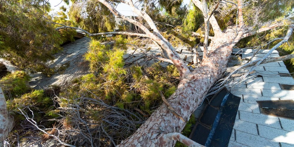 emergency roofing Pittsburgh; emergency roofing service Pittsburgh; emergency roofing services near me Pittsburgh; emergency roofing repair near me Pittsburgh; emergency roofing services Pittsburgh; emergency roofing repair Pittsburgh; emergency roofing near me Pittsburgh; emergency roofing company Pittsburgh; emergency roof repair services Pittsburgh; emergency roof Pittsburgh; emergency roofing companies near me Pittsburgh; emergency one roofing Pittsburgh;