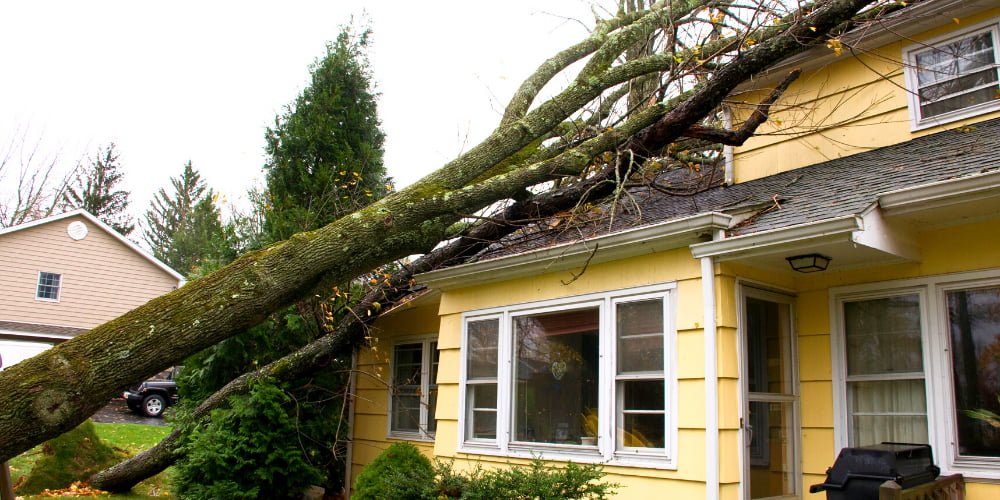 emergency roofing Pittsburgh; emergency roofing service Pittsburgh; emergency roofing services near me Pittsburgh; emergency roofing repair near me Pittsburgh; emergency roofing services Pittsburgh; emergency roofing repair Pittsburgh; emergency roofing near me Pittsburgh; emergency roofing company Pittsburgh; emergency roof repair services Pittsburgh; emergency roof Pittsburgh; emergency roofing companies near me Pittsburgh; emergency one roofing Pittsburgh;