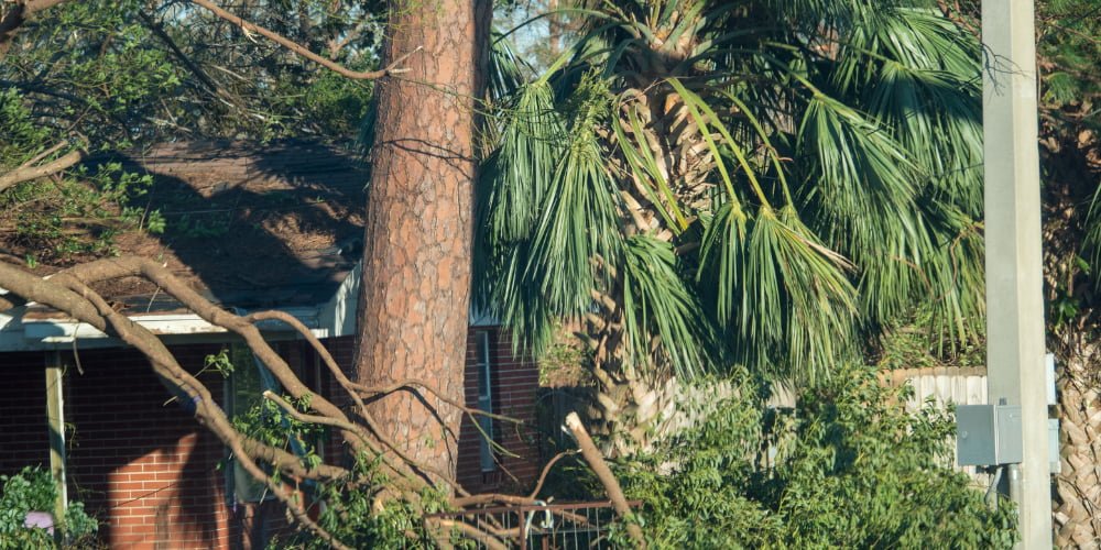 emergency roofing Pittsburgh; emergency roofing service Pittsburgh; emergency roofing services near me Pittsburgh; emergency roofing repair near me Pittsburgh; emergency roofing services Pittsburgh; emergency roofing repair Pittsburgh; emergency roofing near me Pittsburgh; emergency roofing company Pittsburgh; emergency roof repair services Pittsburgh; emergency roof Pittsburgh; emergency roofing companies near me Pittsburgh; emergency one roofing Pittsburgh;